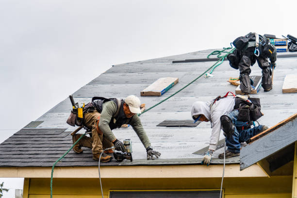 Professional Gutter Installation technician working in Gulfport, MS